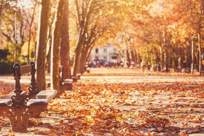 Facade classique parisienne 53 rue notre dame des champs 75006 paris details architecturaux